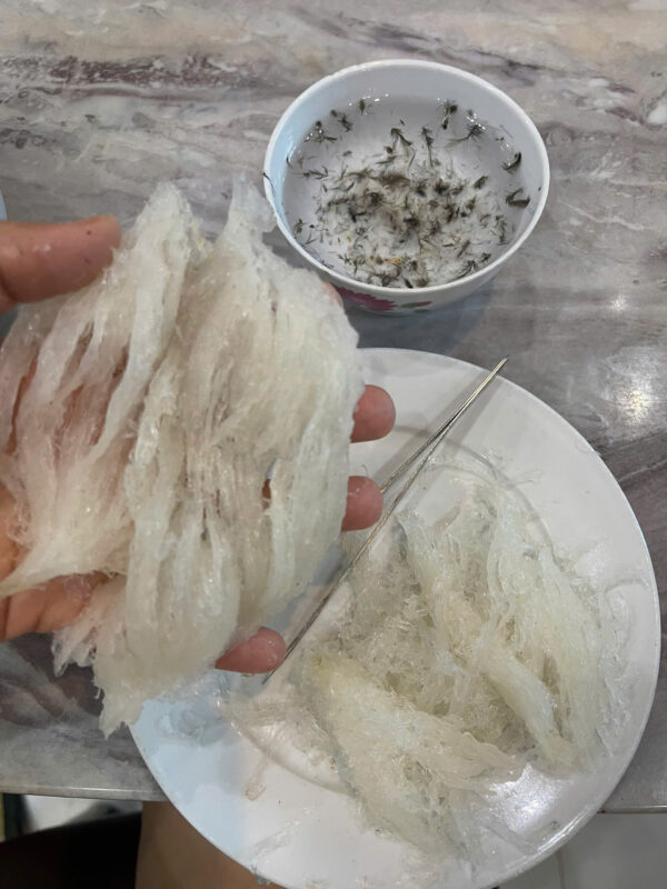 Tổ đã được nhặt lông kỹ và sạch 98%