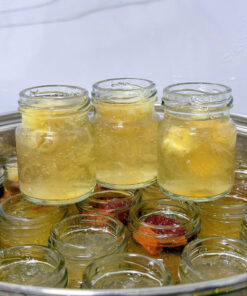 Yến chưng tươi cho bé