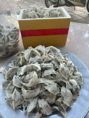 Yến thô ngay sau khi thu hái