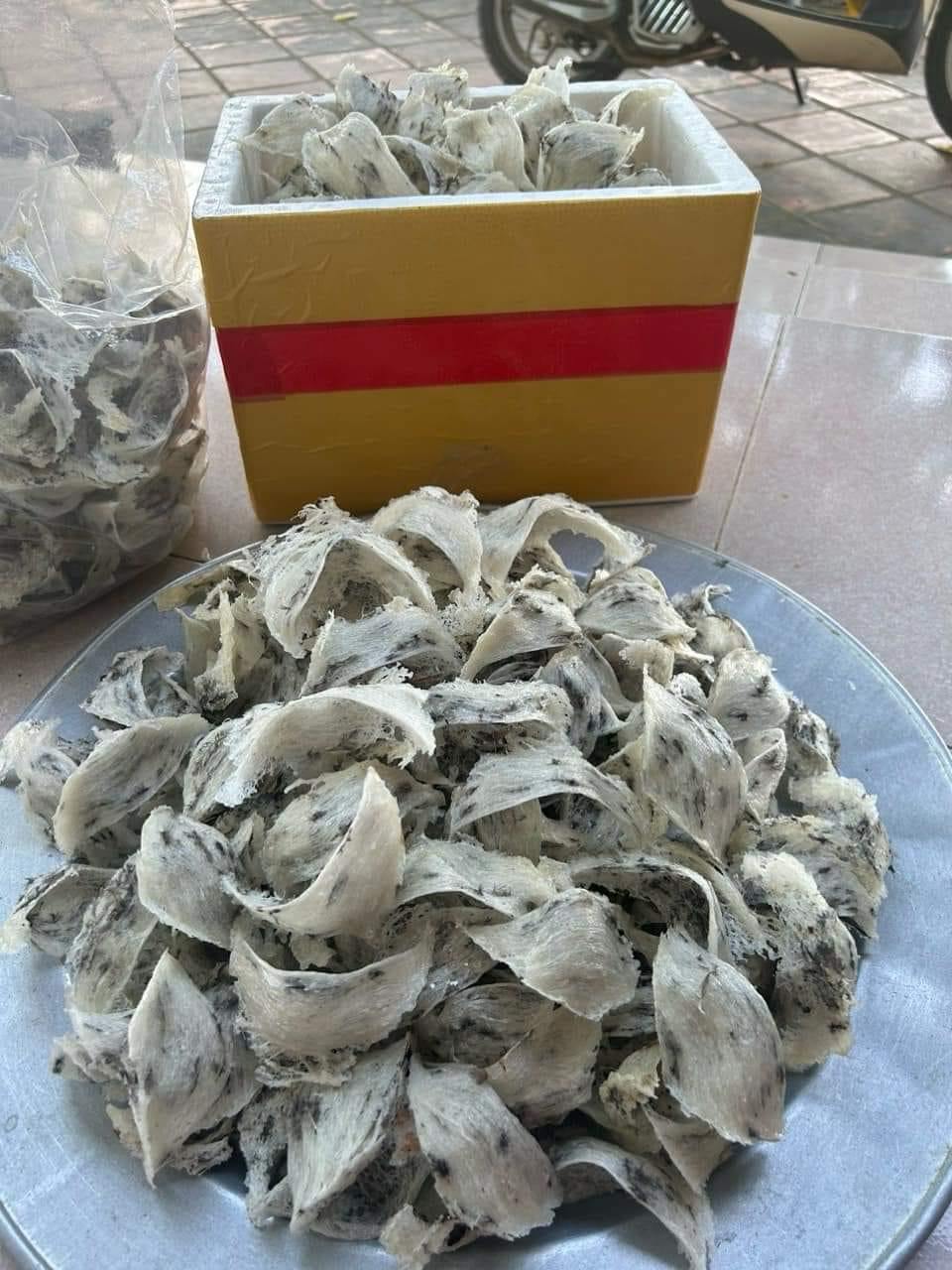 Yến thô ngay sau khi thu hái